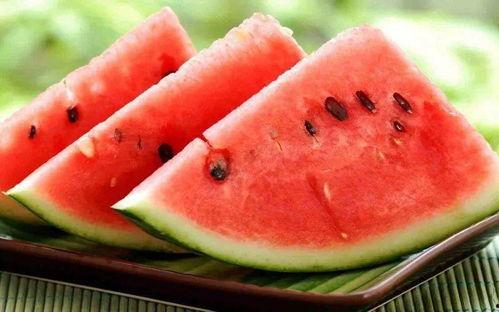 带你吃瓜关于小鸡,揭秘小鸡的趣味生活