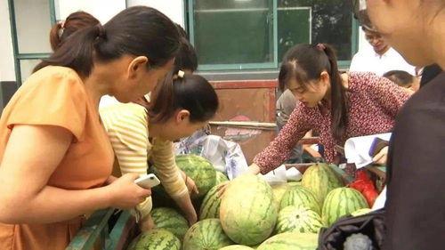 吃瓜群众早田,揭秘娱乐圈幕后风云
