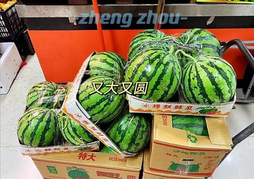 郑州市老年吃瓜,悠闲吃瓜，共享夕阳时光