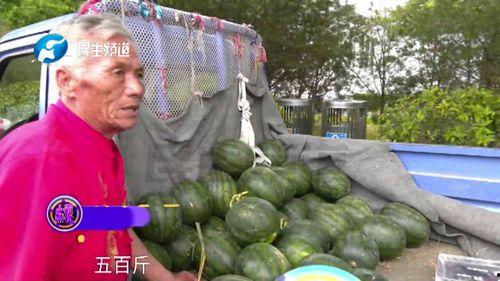 郑州市老年吃瓜,悠闲吃瓜，共享夕阳时光