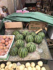 郑州市老年吃瓜,悠闲吃瓜，共享夕阳时光