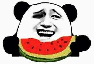 吃瓜观众和吃瓜群众