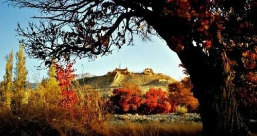 庙尔沟吃瓜原版,一场夏日里的欢乐盛宴