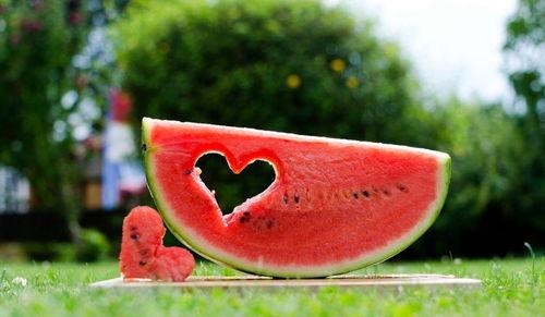 吃瓜有关的句子,吃瓜群众视角下的娱乐圈风云