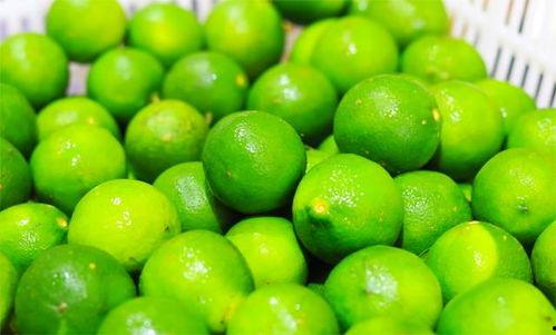 西昌名人俱乐部吃瓜,一场吃瓜盛宴背后的故事