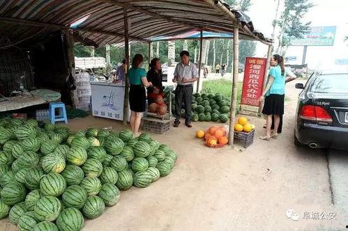 金环市场 吃瓜事件,揭秘网络谣言背后的真相