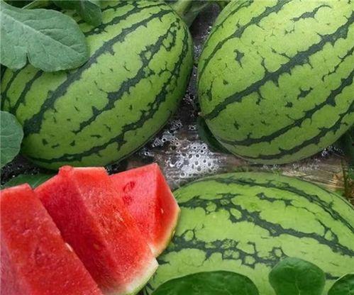 国内最大免费吃瓜平台,海量资讯，畅享娱乐盛宴