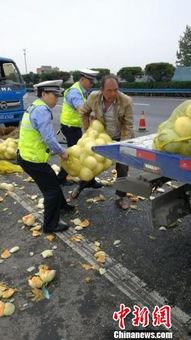 丹江吃瓜群众,揭秘民间舆论场的热点与焦点