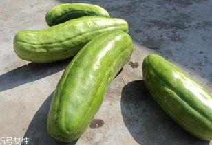 什么瓜能接着吃,紧跟潮流，探索下一个热门“瓜”的奥秘