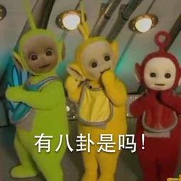 大熊的吃瓜日子,揭秘娱乐圈幕后故事