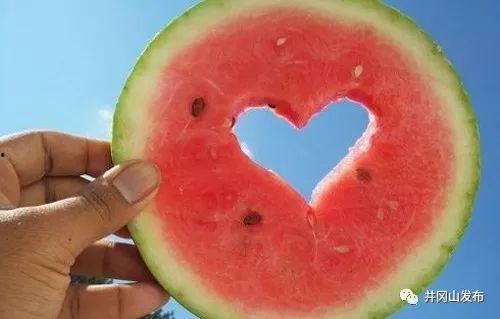 吃瓜排行榜搞笑,笑料百出，瓜田里的欢乐盛宴