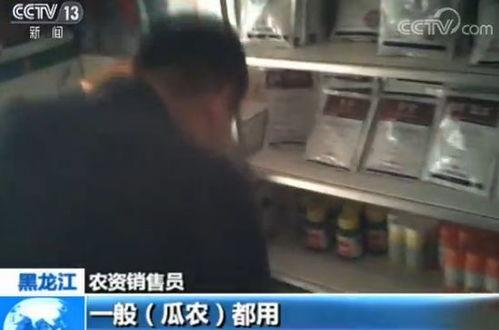 都市吃瓜迷,揭秘娱乐圈背后的秘密与八卦风云