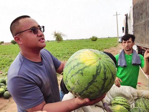 永济吃瓜新闻事件,揭秘背后真相与网络舆论风暴