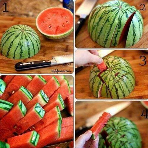 张小盒吃瓜,张小盒的瓜田奇遇记