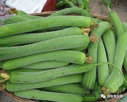 恋爱或者吃瓜,一段恋爱与吃瓜的奇妙旅程