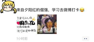 吃瓜微博超话,揭秘娱乐圈幕后故事