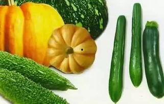 夏天吃瓜儿,畅享清凉瓜果时光