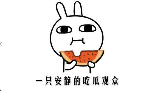 吃瓜用牛刀动画,动画中的幽默与智慧