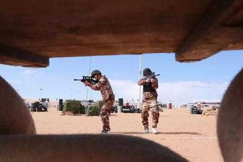 吃鸡沙漠的瓜,探寻绝地求生：沙漠中的神秘果实