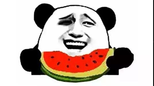 吃瓜小小说描写,一场吃瓜小小说的奇幻之旅