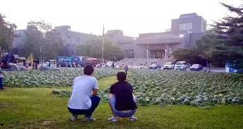 美术院吃瓜,一场吃瓜盛宴背后的艺术圈秘闻