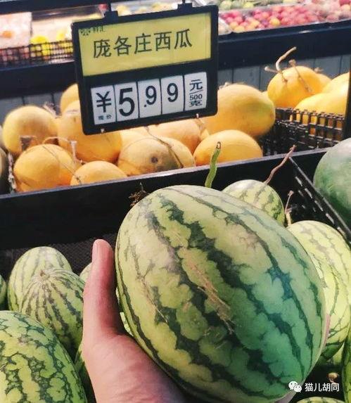 京爷吃瓜,揭秘京城娱乐圈那些不为人知的幕后故事