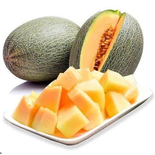 吃小蜜瓜歌曲大全,尽在吃小蜜瓜歌曲大全