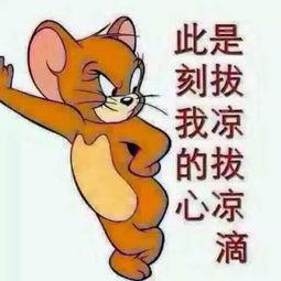 吃瓜群众趣事合集,吃瓜群众趣事合集大盘点