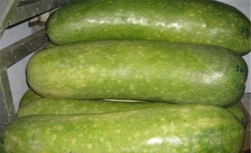 命运循环吃瓜,吃瓜群众的逆袭之路