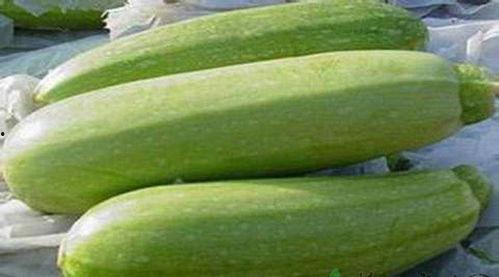 宝宝茭瓜怎么吃,宝宝茭瓜的多样美味食用指南