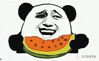 吃瓜群众张老头,吃瓜群众的智慧与幽默