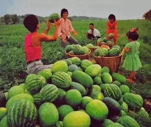 吃瓜了么,吃瓜了么带你领略明星幕后故事