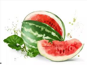 夏日吃瓜美食视频,瓜果飘香——解锁夏日吃瓜美食新体验