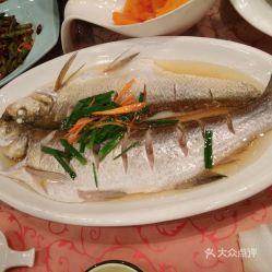 吃瓜的白鱼,揭秘吃瓜界的风云变幻