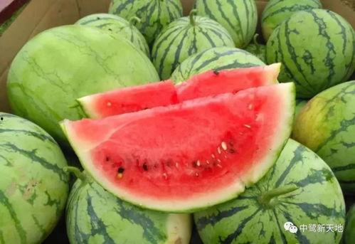 日更吃瓜视频,揭秘娱乐圈幕后故事