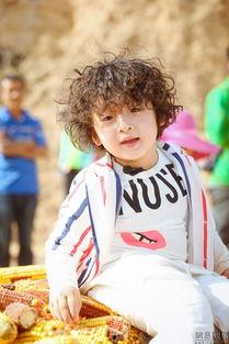 娱乐乐吃瓜酱,揭秘娱乐圈那些不为人知的幕后故事