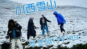 吃瓜川西,吃瓜川西的悠闲生活画卷