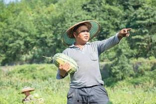 吃瓜村队长,揭秘乡村生活的酸甜苦辣