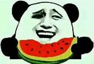 吃瓜集合了,揭秘网络热议背后的真相与趣味