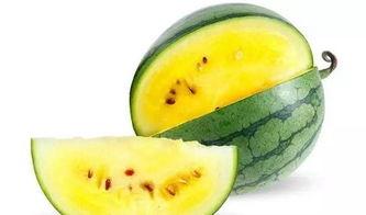 河南山东吃瓜,一场别开生面的“吃瓜”文化之旅