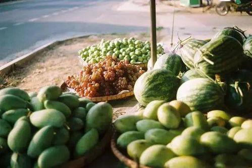 河南山东吃瓜,一场别开生面的“吃瓜”文化之旅