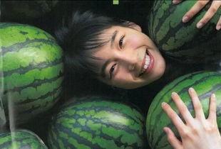 吃瓜神手全集,揭秘娱乐圈幕后风云