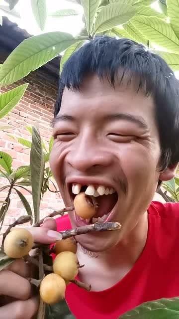 七舅姥爷吃瓜,七舅姥爷的瓜田奇遇记