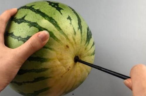 吃瓜原理有话说,揭秘娱乐圈背后的真相与奥秘