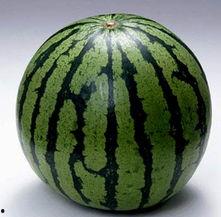 真正的吃瓜图片,瓜界奇观大揭秘