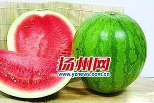 宝宝吃籽瓜好吗怎么吃,宝宝食用籽瓜的益处与正确食用方法