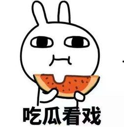 吃瓜梳理,吃瓜群众视角下的娱乐圈风云录