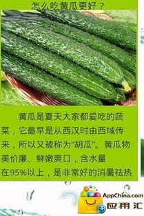 吃瓜可以怎么形容