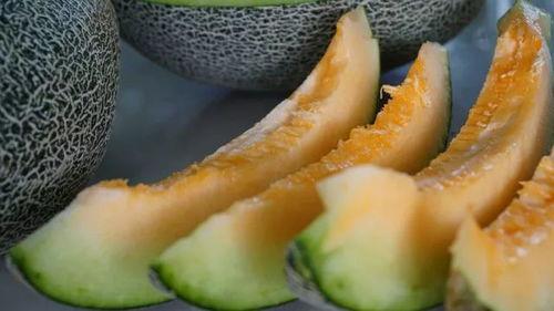 来烟台旅游吃瓜事件,一场意外引发的美食风波