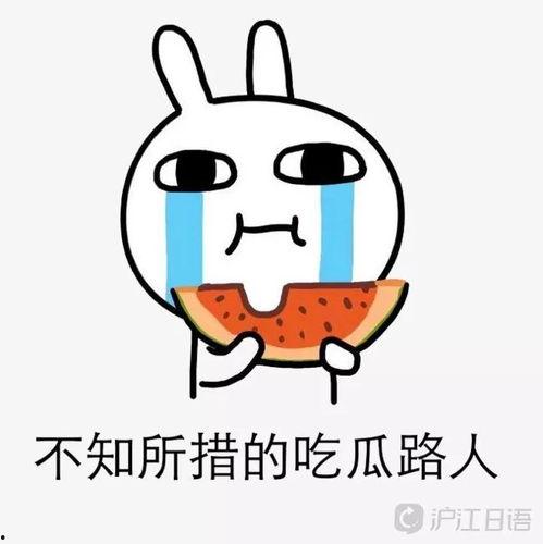 吃瓜壁纸手机超清,手机超清视觉盛宴背后的故事